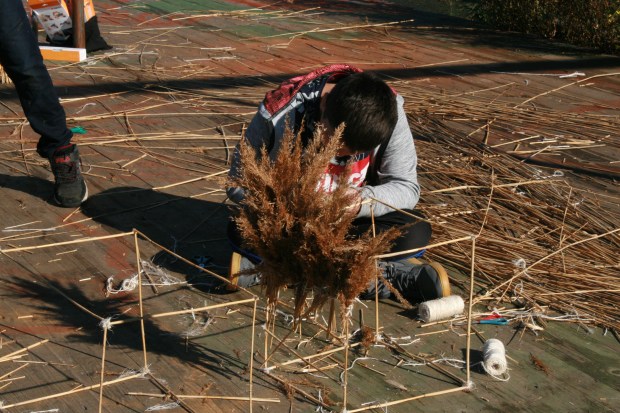 working with reeds in Floating University