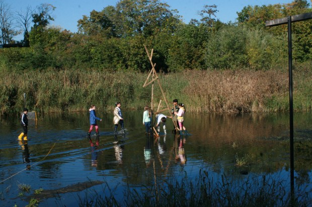working on "big deer "with reeds in Floating University